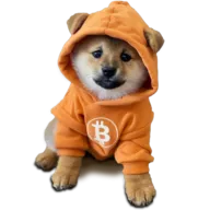 doggotothemoon.io