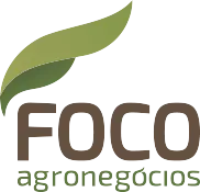 focoagronegociosltd.com