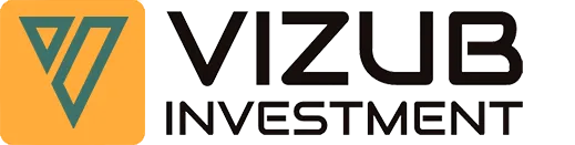 Vizub Investment