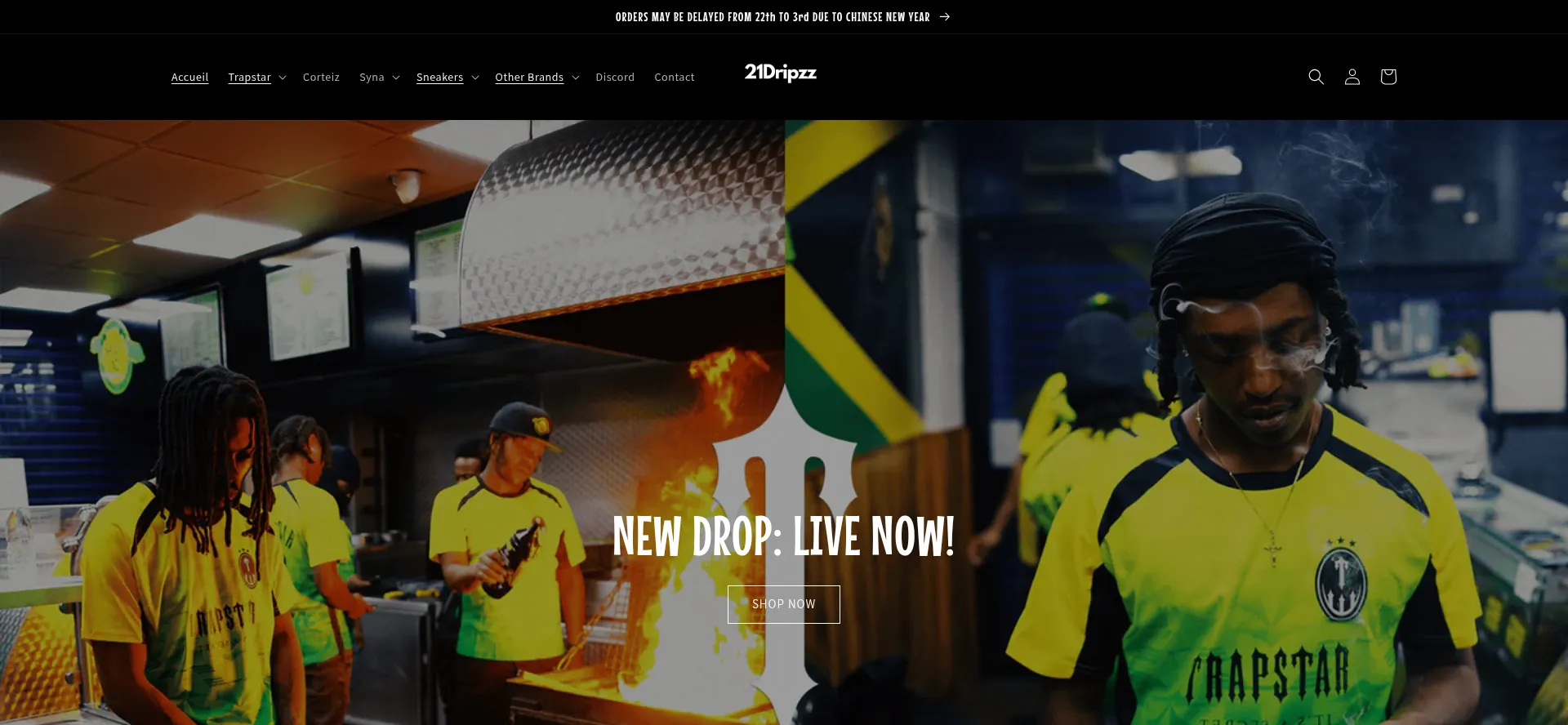 Screenshot of 21dripzzz.com homepage