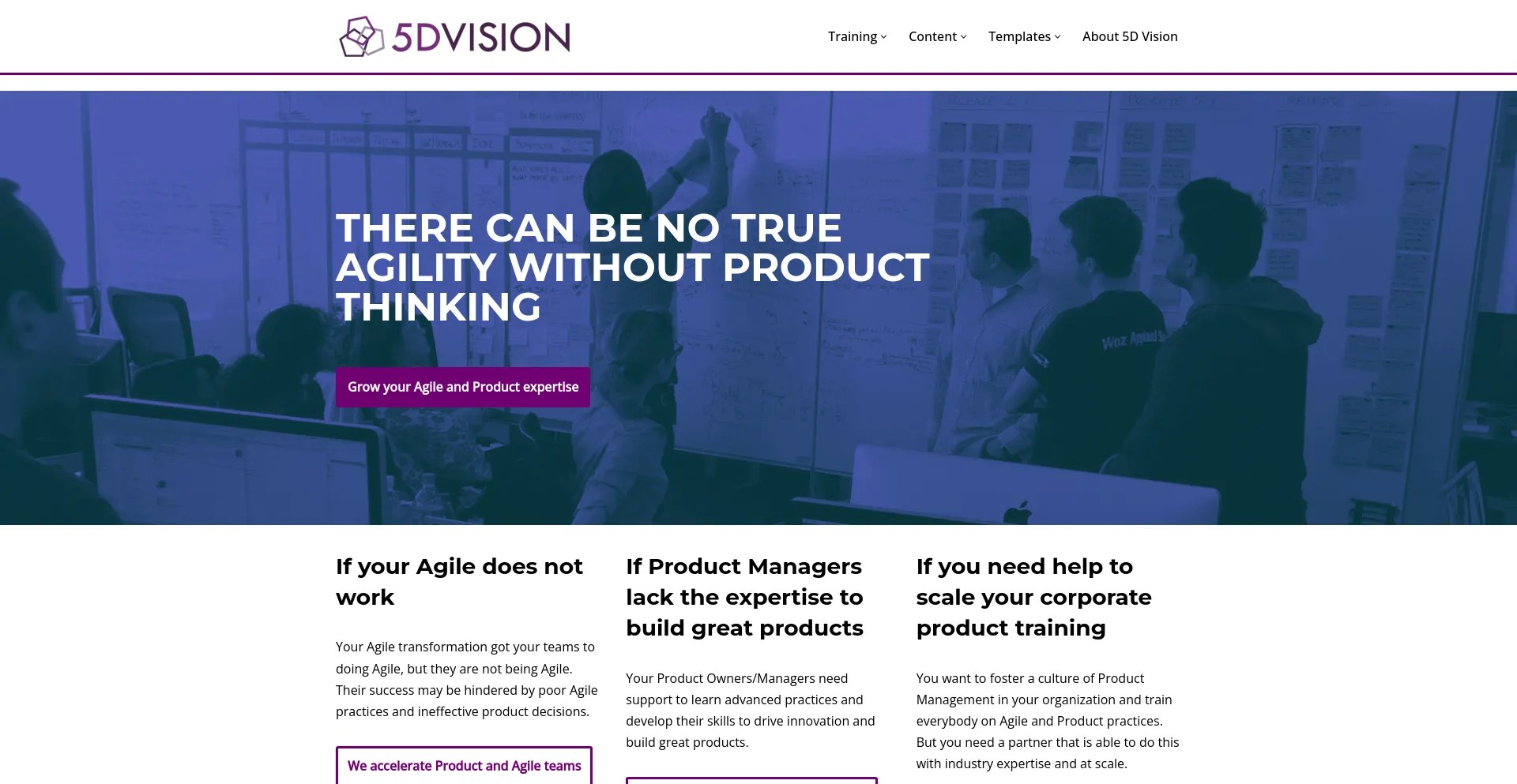 Screenshot of 5dvision.com homepage