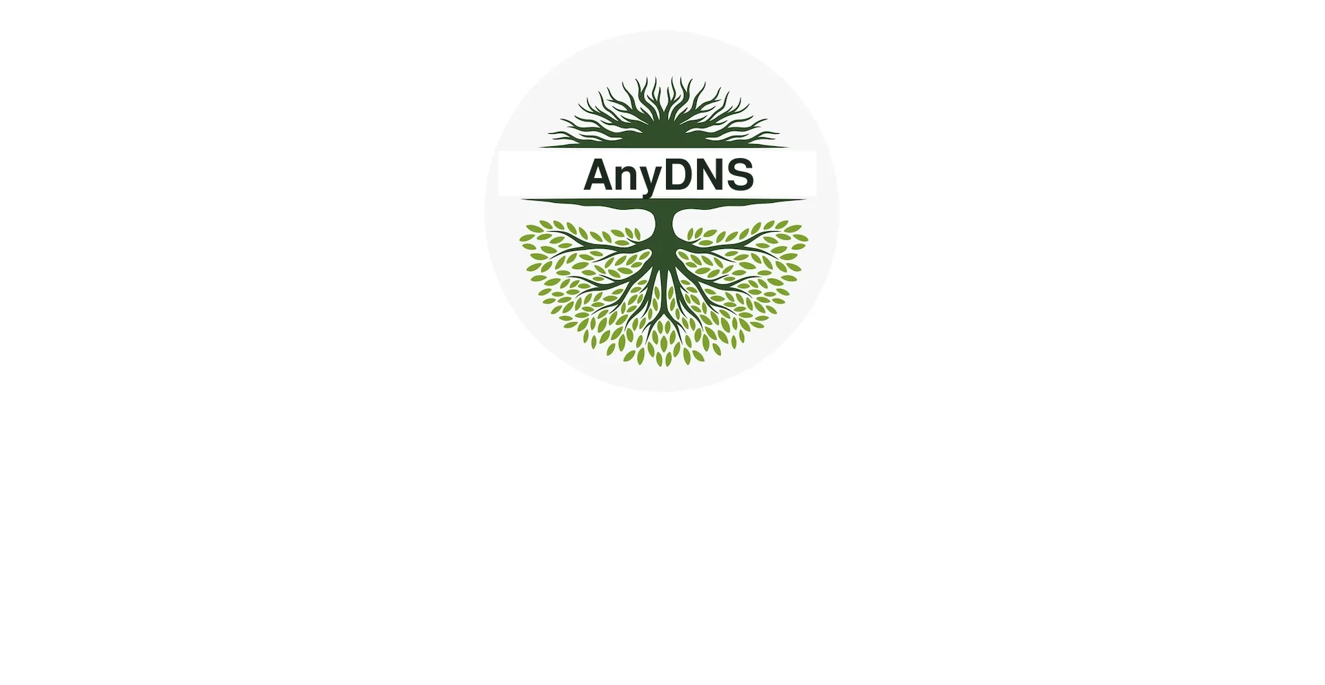 Screenshot of anydns.com homepage