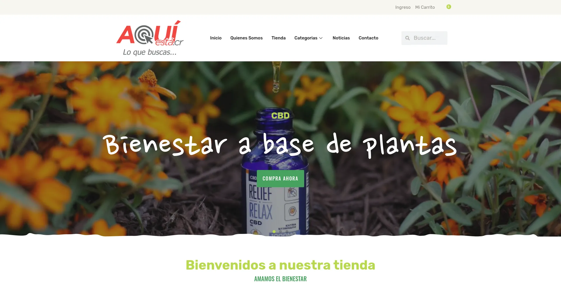 Screenshot of aquiesta.cr homepage