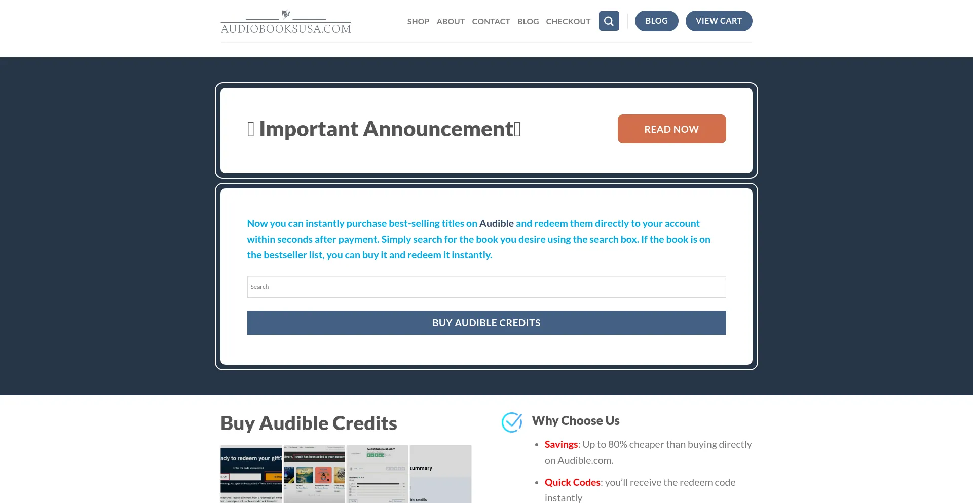 Screenshot of audiobooksusa.com homepage