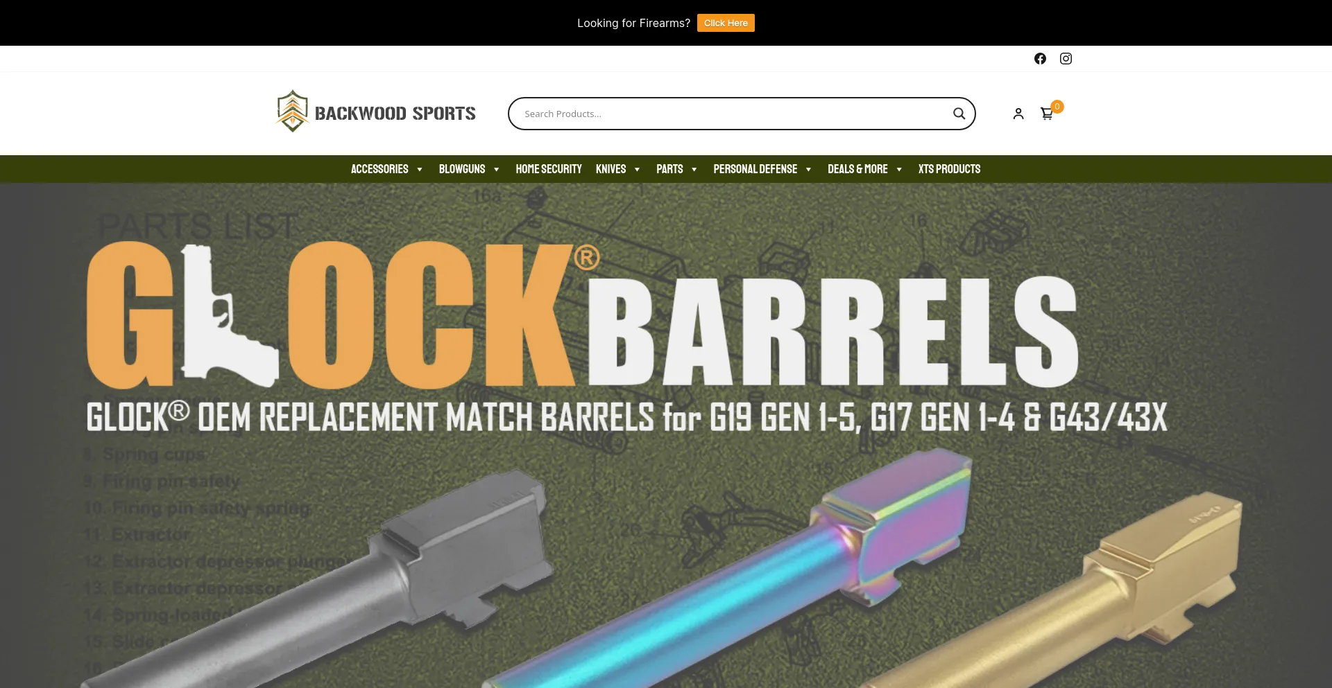 Screenshot of backwoodsports.com homepage