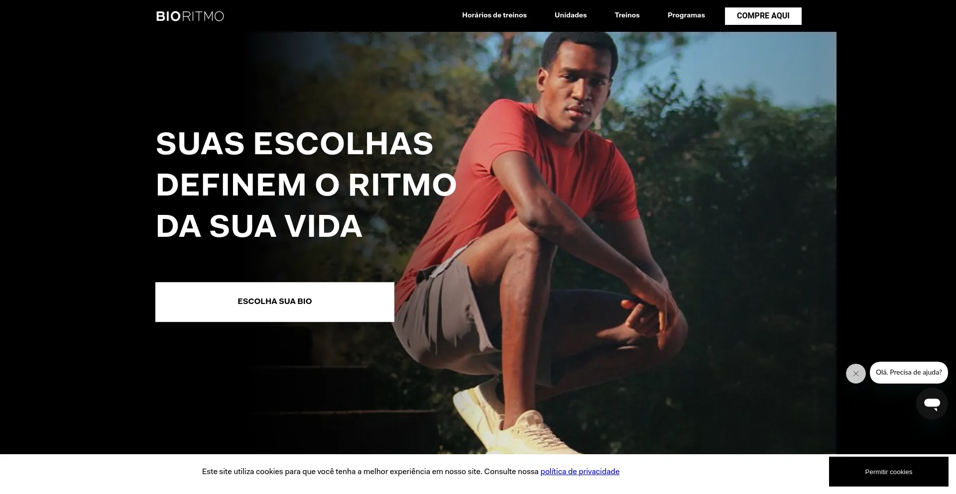 Screenshot of bioritmo.com.br homepage