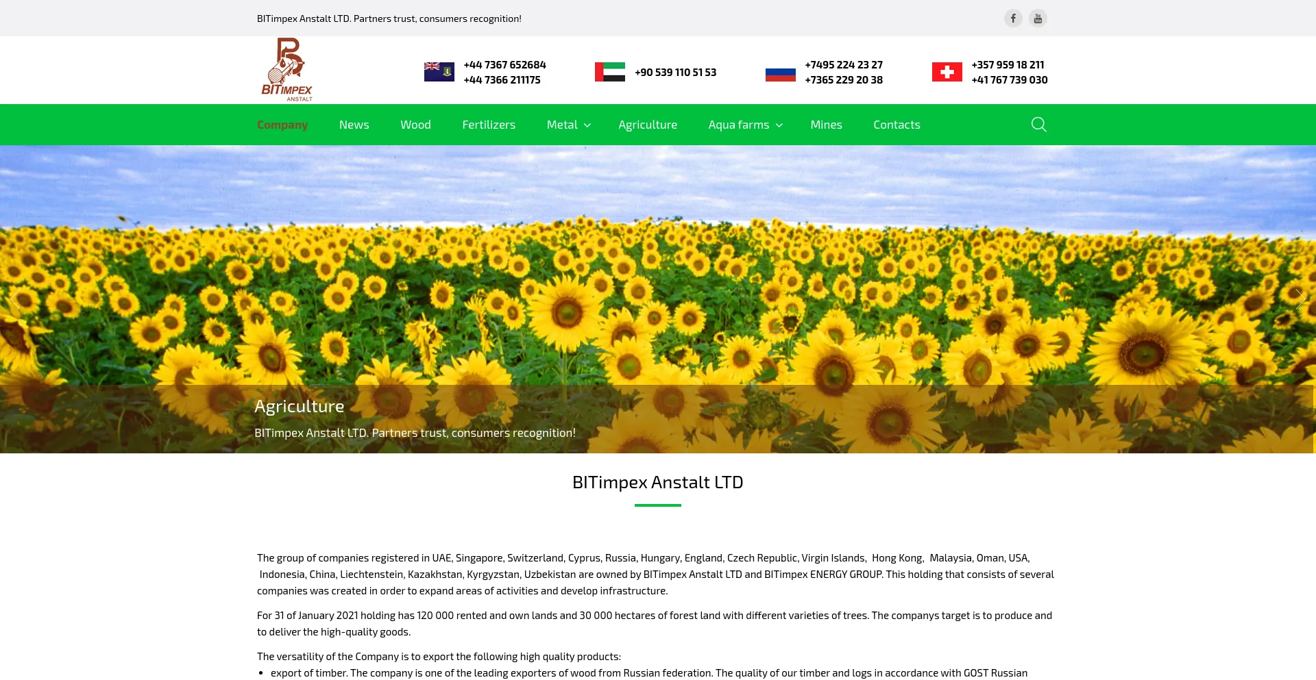 Screenshot of bitimpex-zs.com homepage