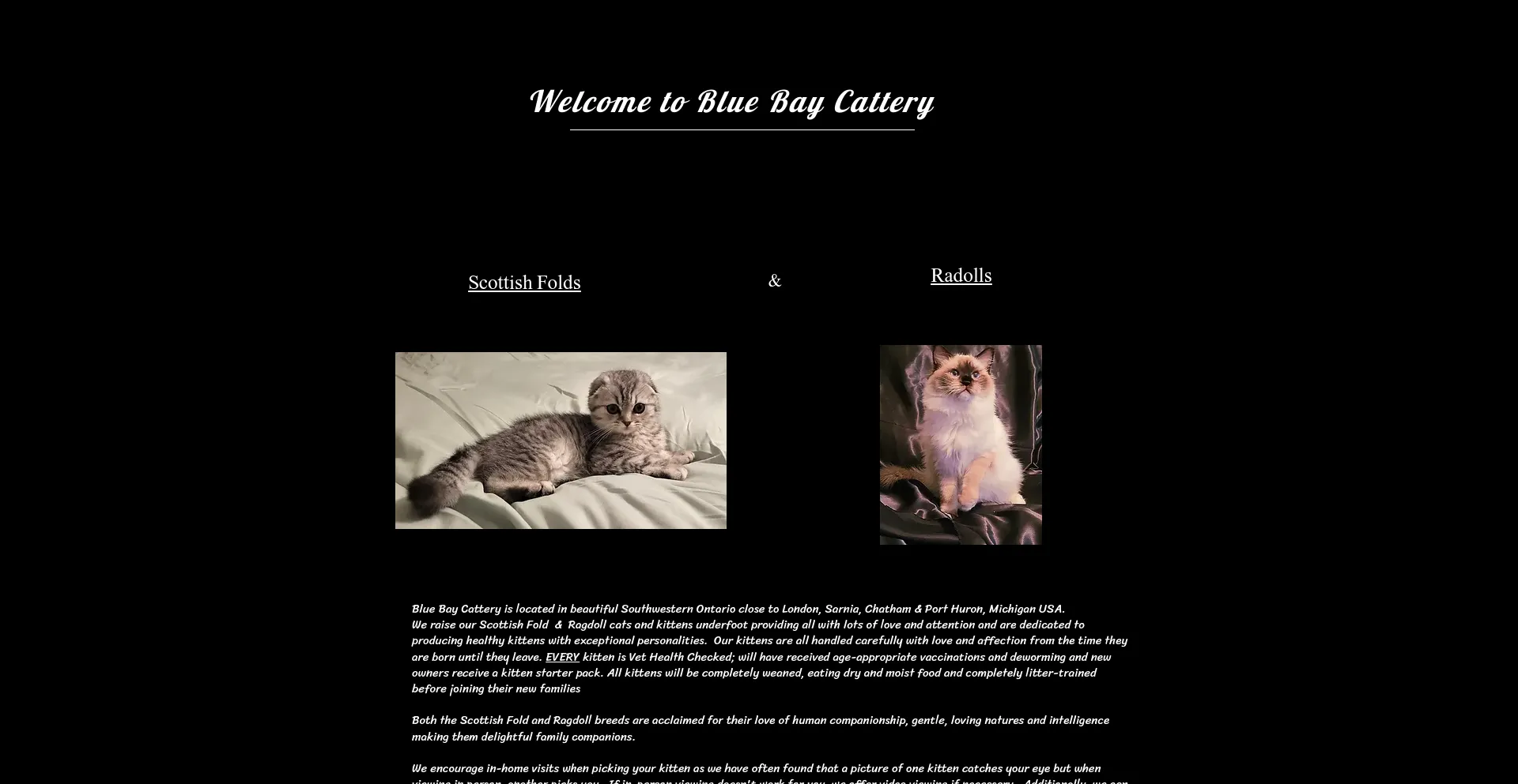 bluebaycattery.com