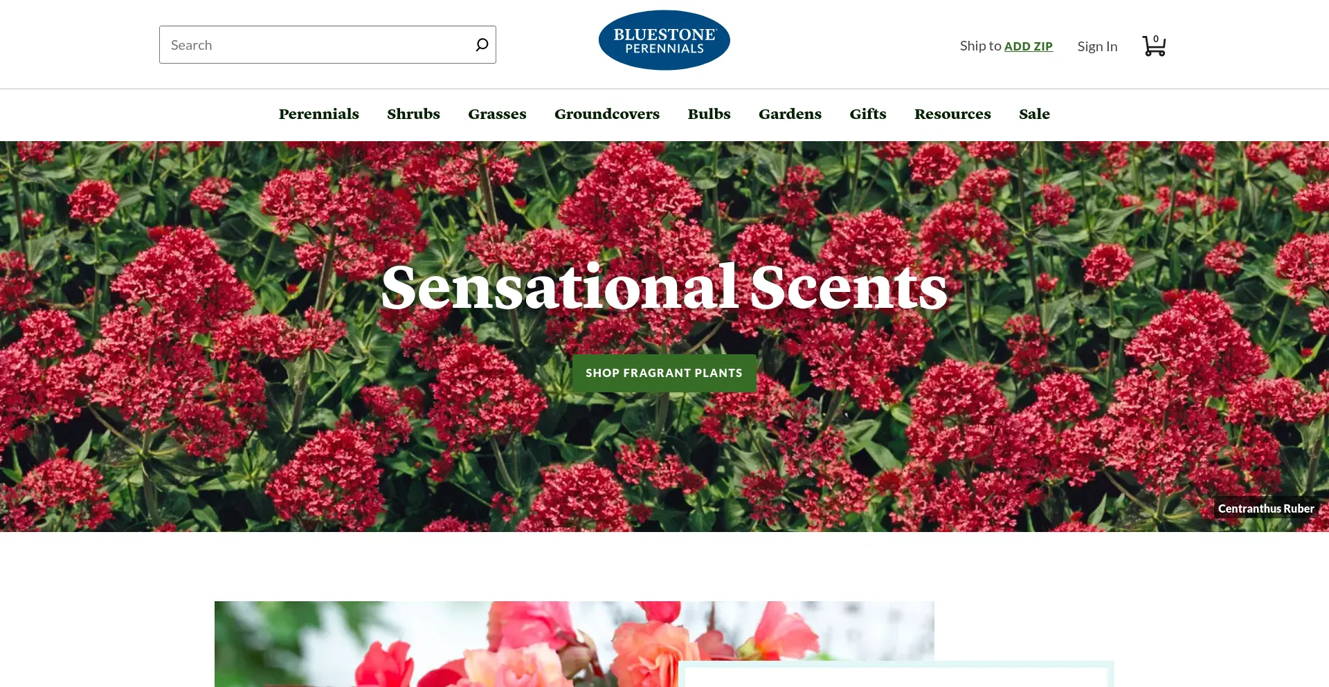 Screenshot of bluestoneperennials.com homepage