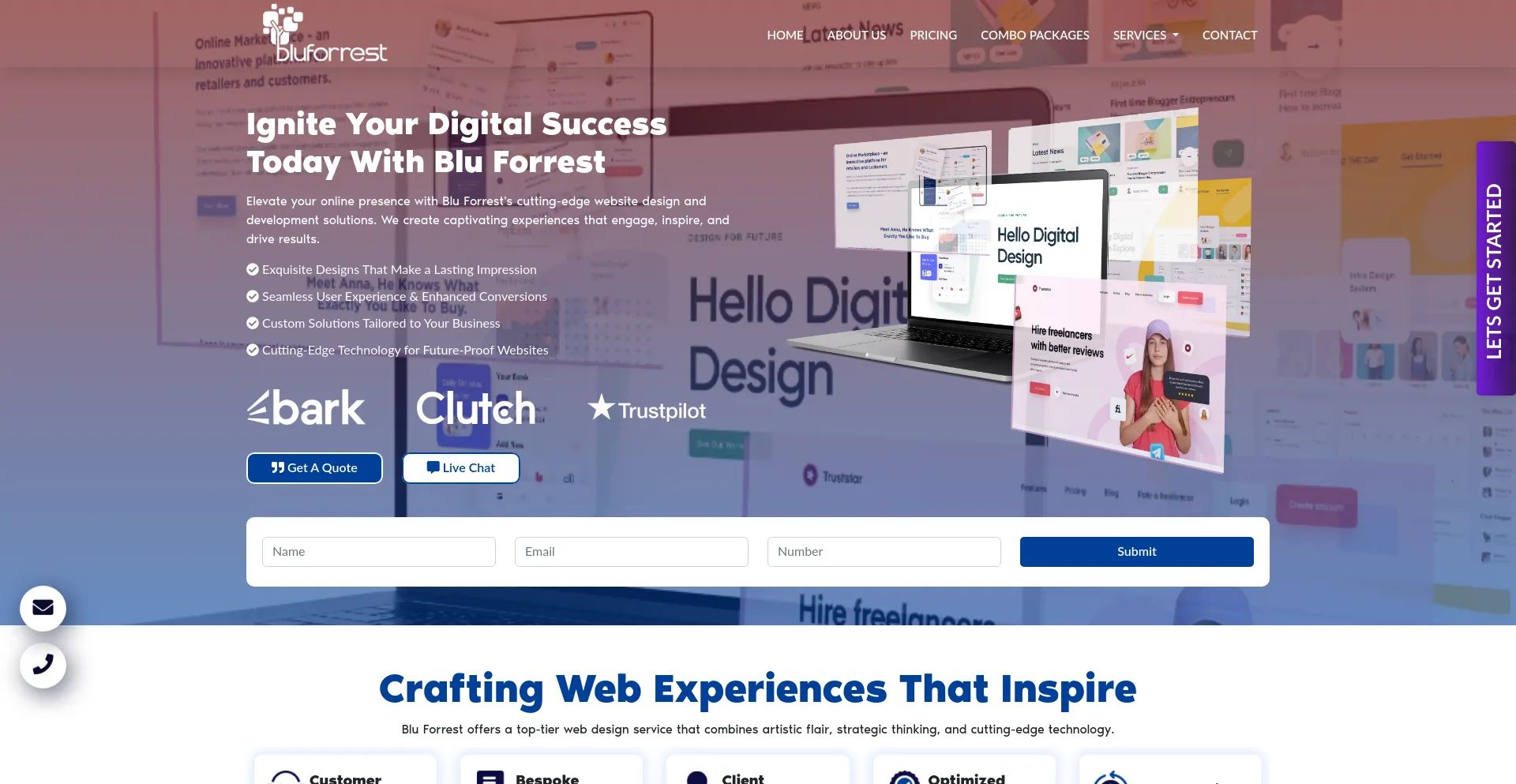 Screenshot of bluforrest.com homepage