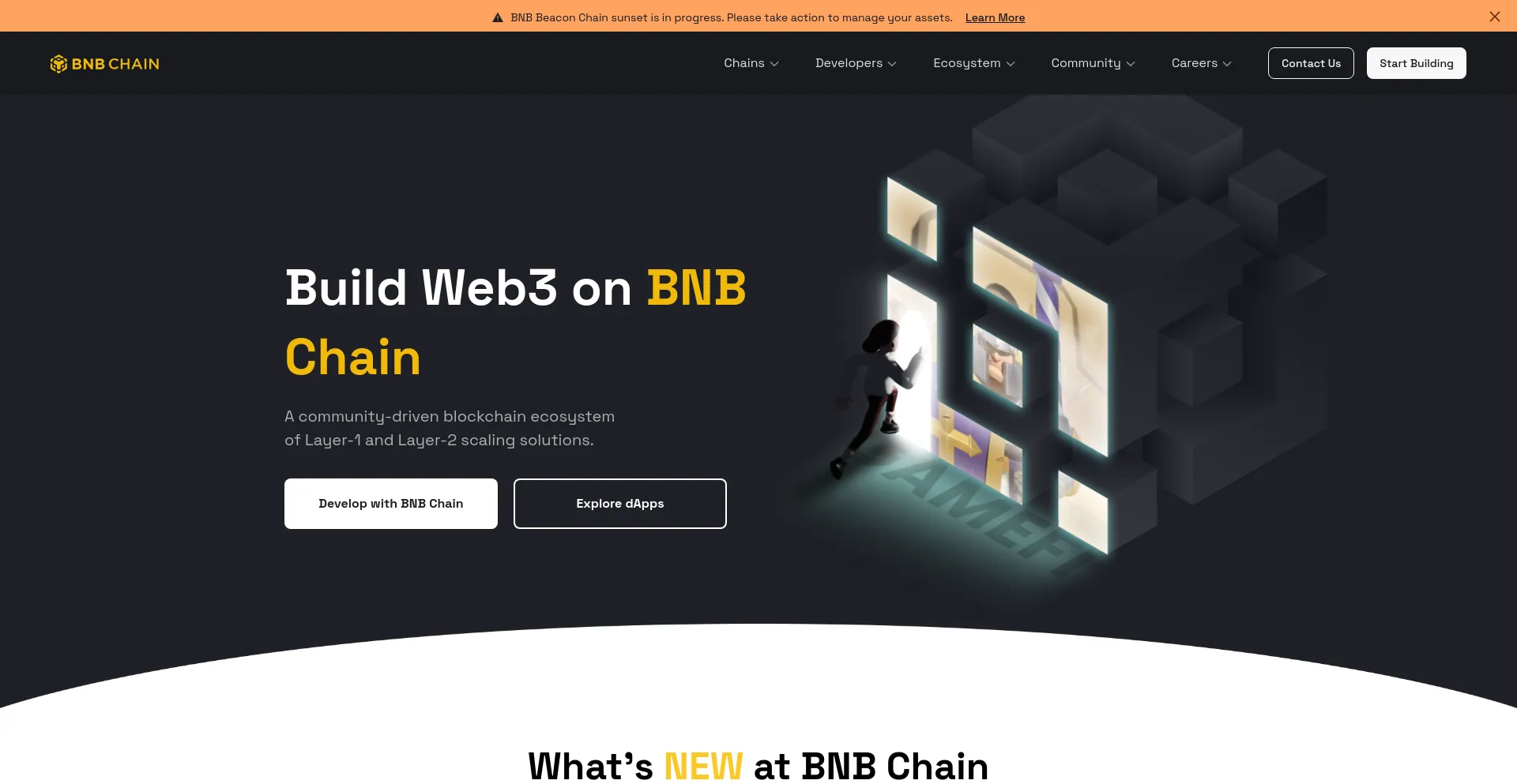 Screenshot of bnbchain.org homepage