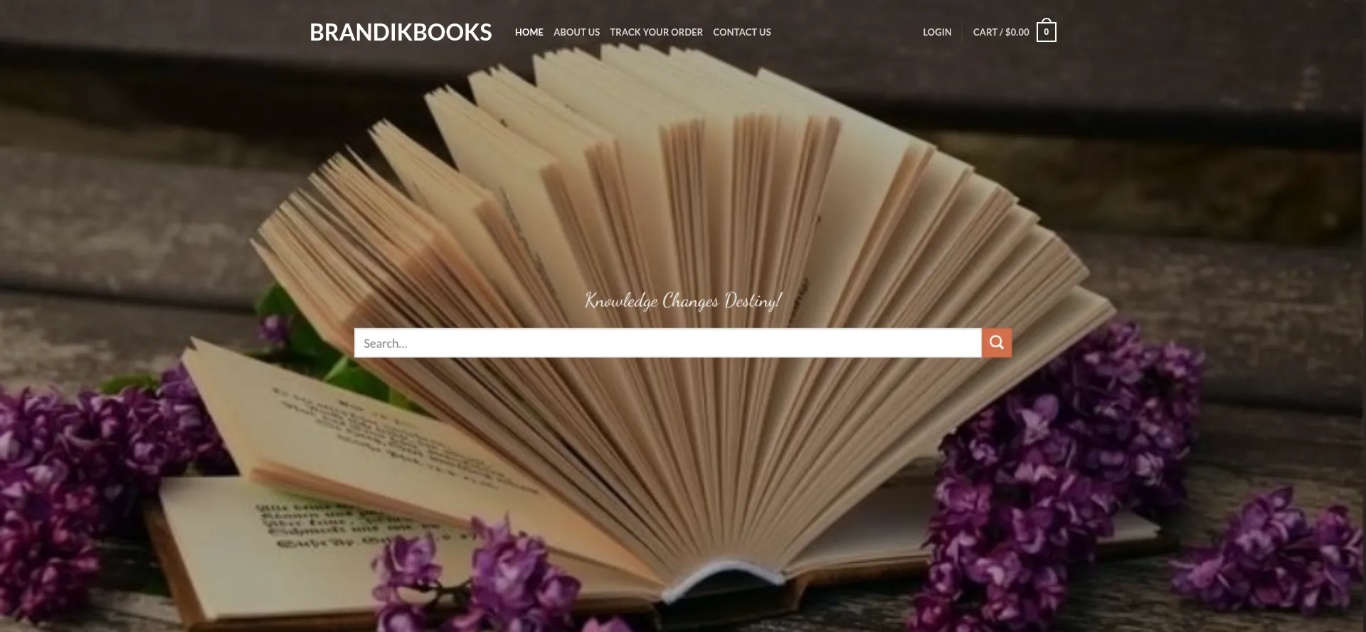 brandikbooks.com