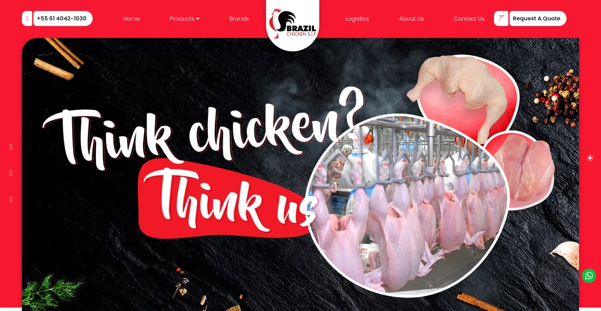 Screenshot of brazilchickensif.com homepage