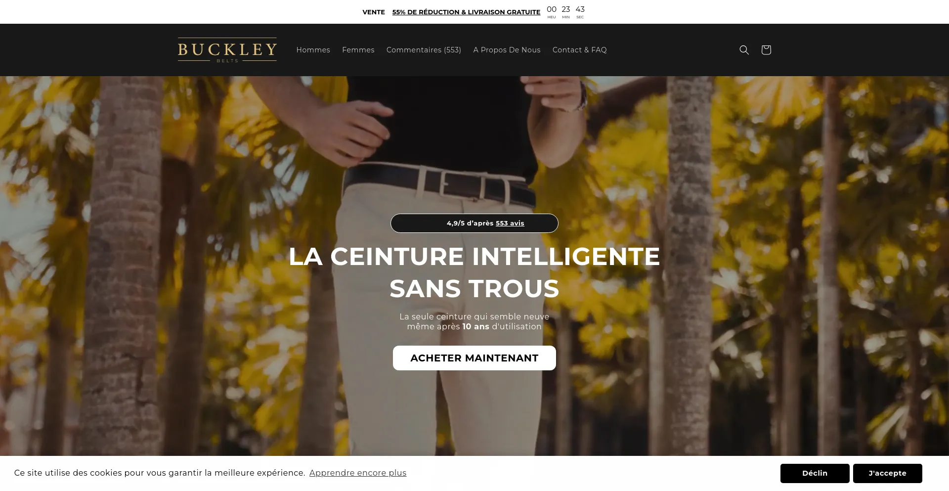 Screenshot of buckleybelts.fr homepage