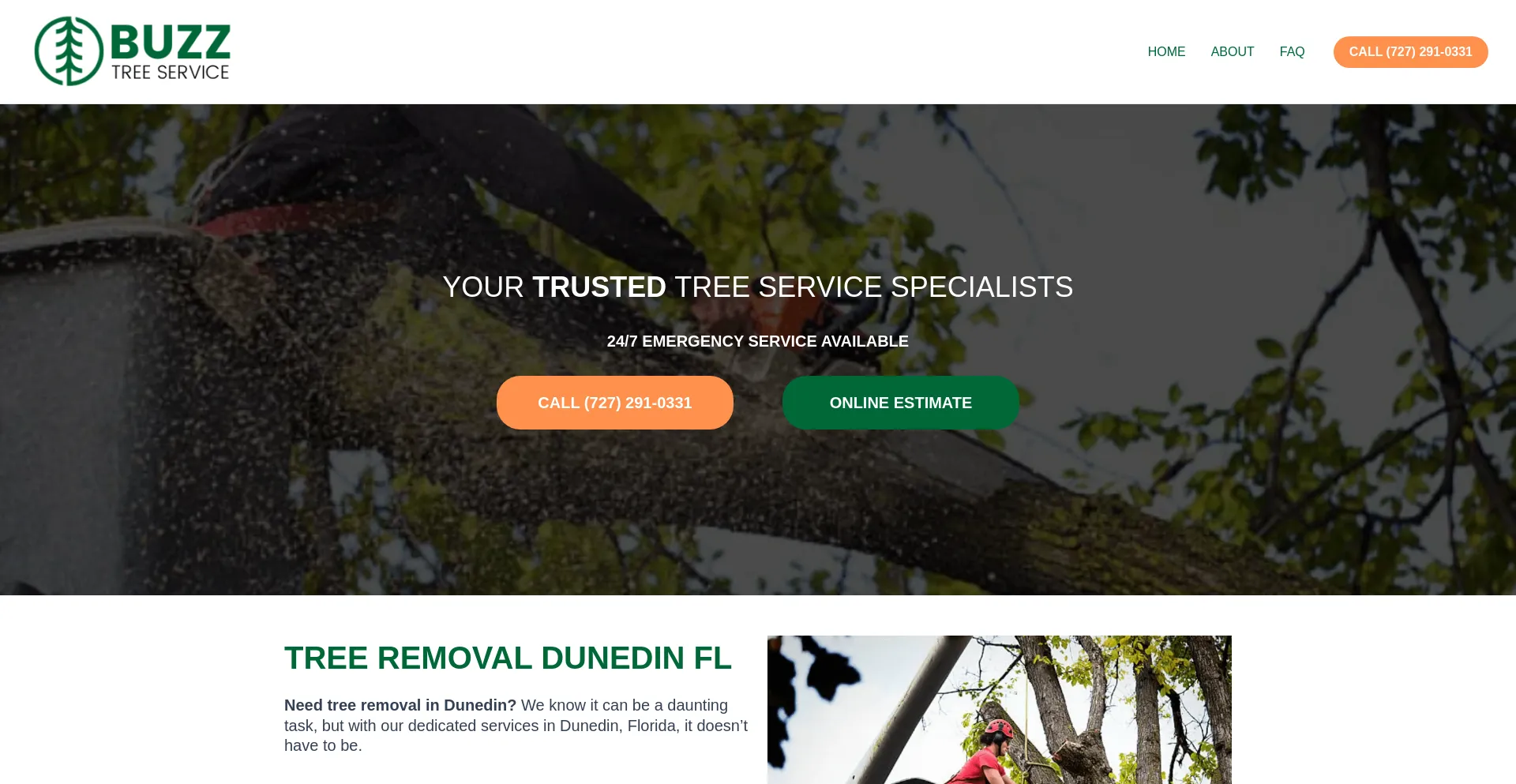 Screenshot of buzztreeremoval.com homepage