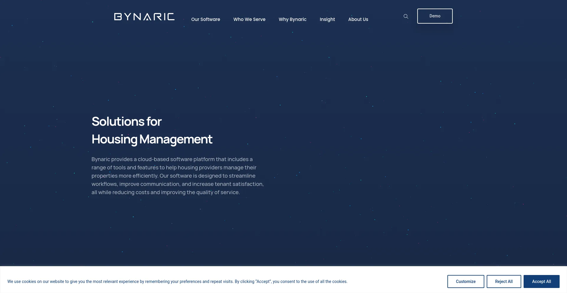 Screenshot of bynaric.com homepage