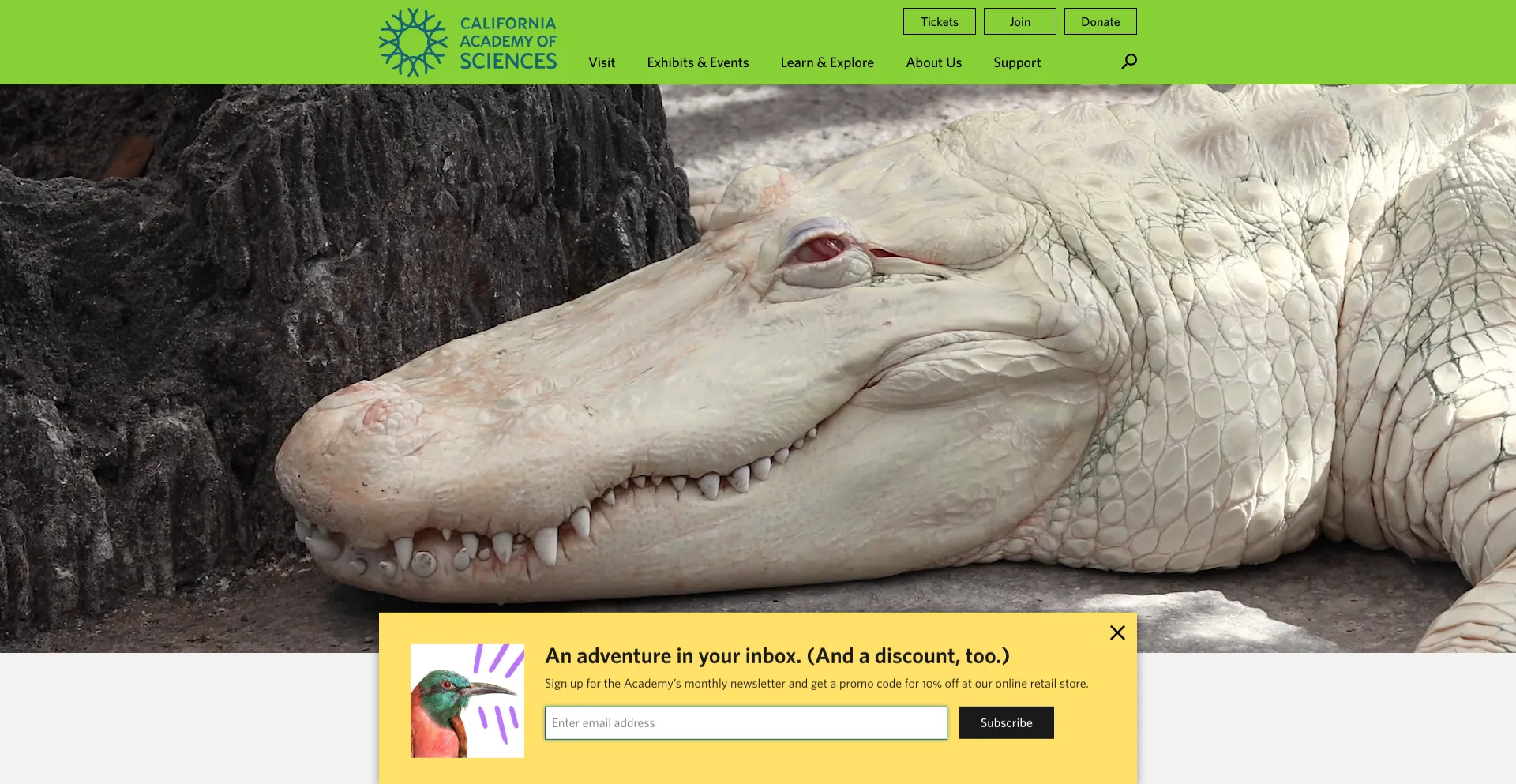 Screenshot of calacademy.org homepage