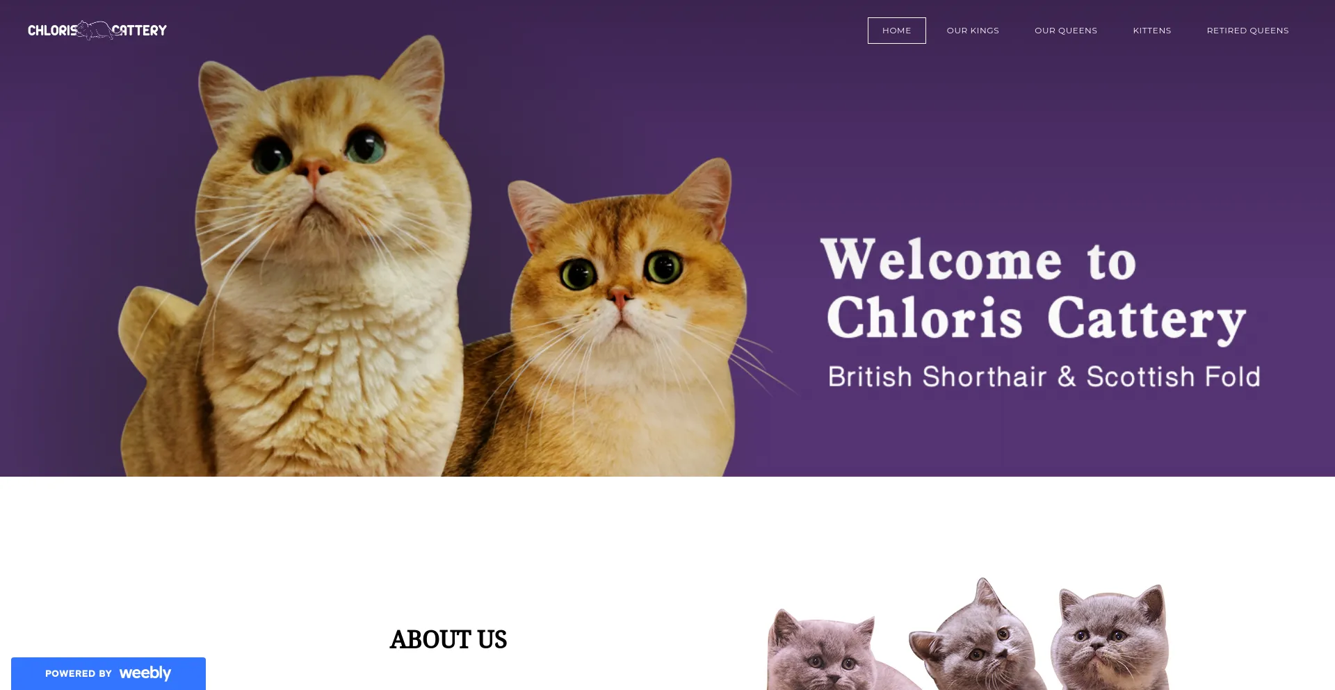 chloriscattery.weebly.com