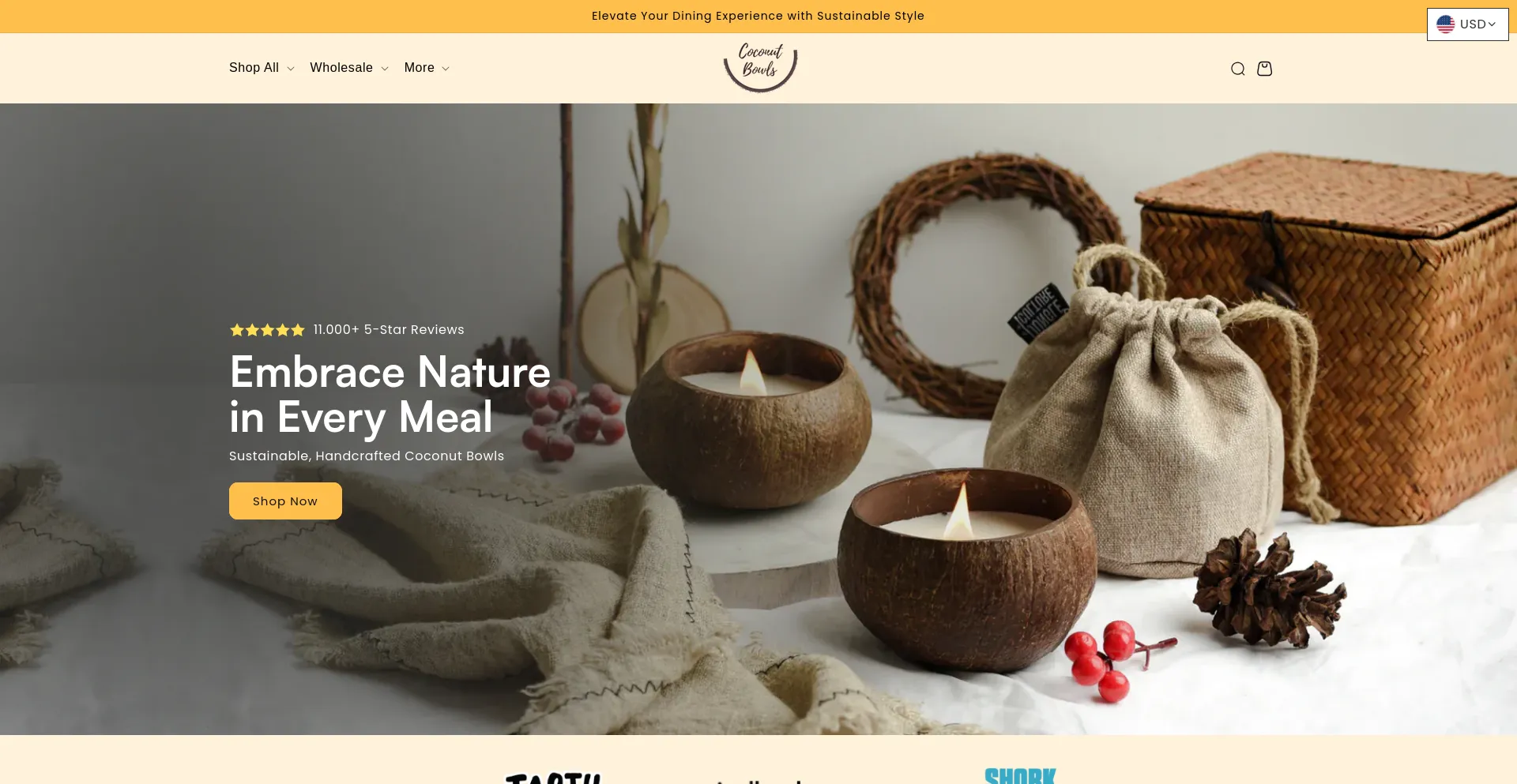 Screenshot of coconutbowls.com homepage