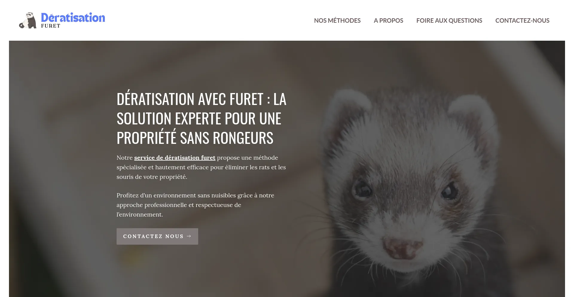 Screenshot of deratisation-furet.net homepage