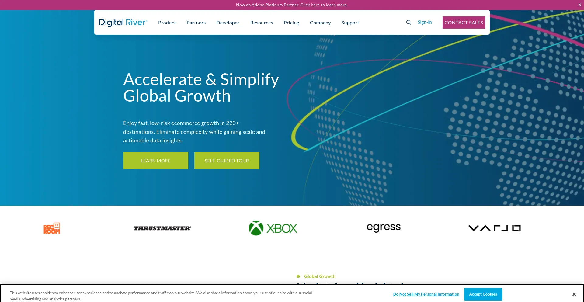 Screenshot of digitalriver.com homepage