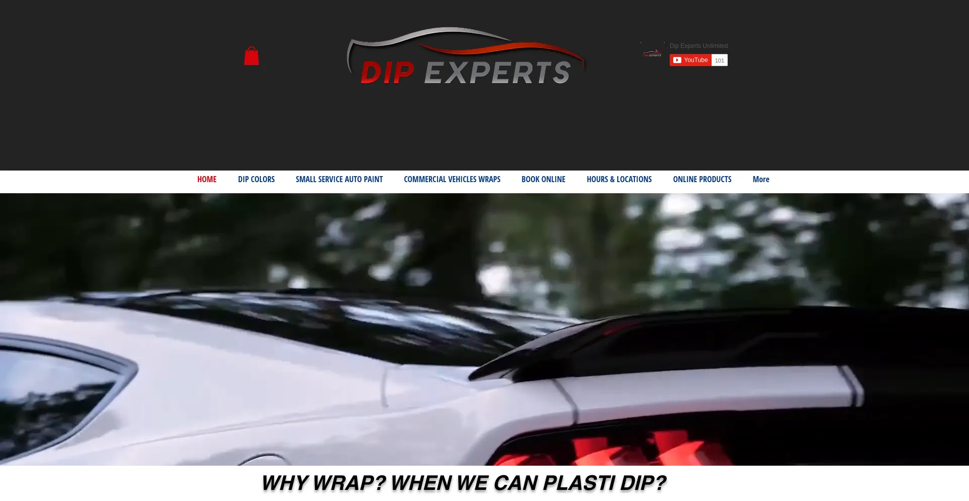 Screenshot of dipexperts.com homepage