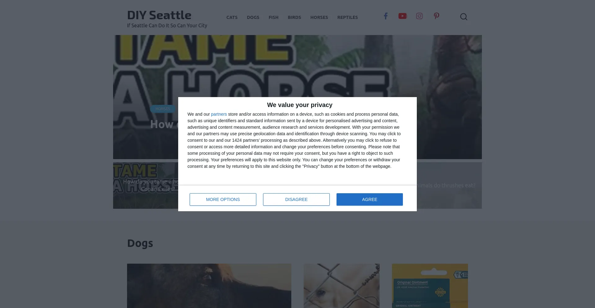 Screenshot of diyseattle.com homepage