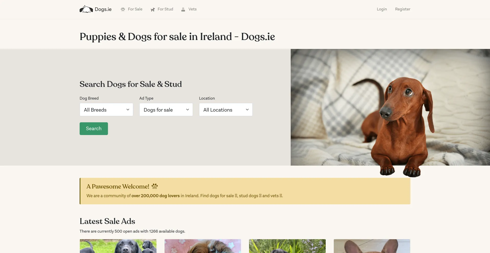 Screenshot of dogs.ie homepage