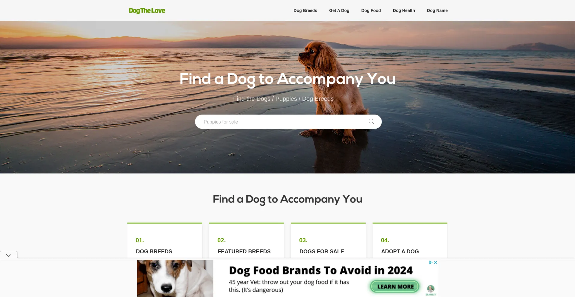 Screenshot of dogthelove.com homepage