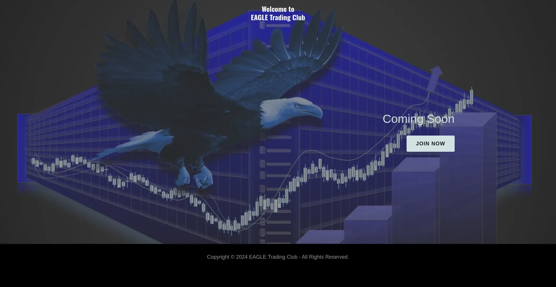 Screenshot of eagletradingclub.com homepage