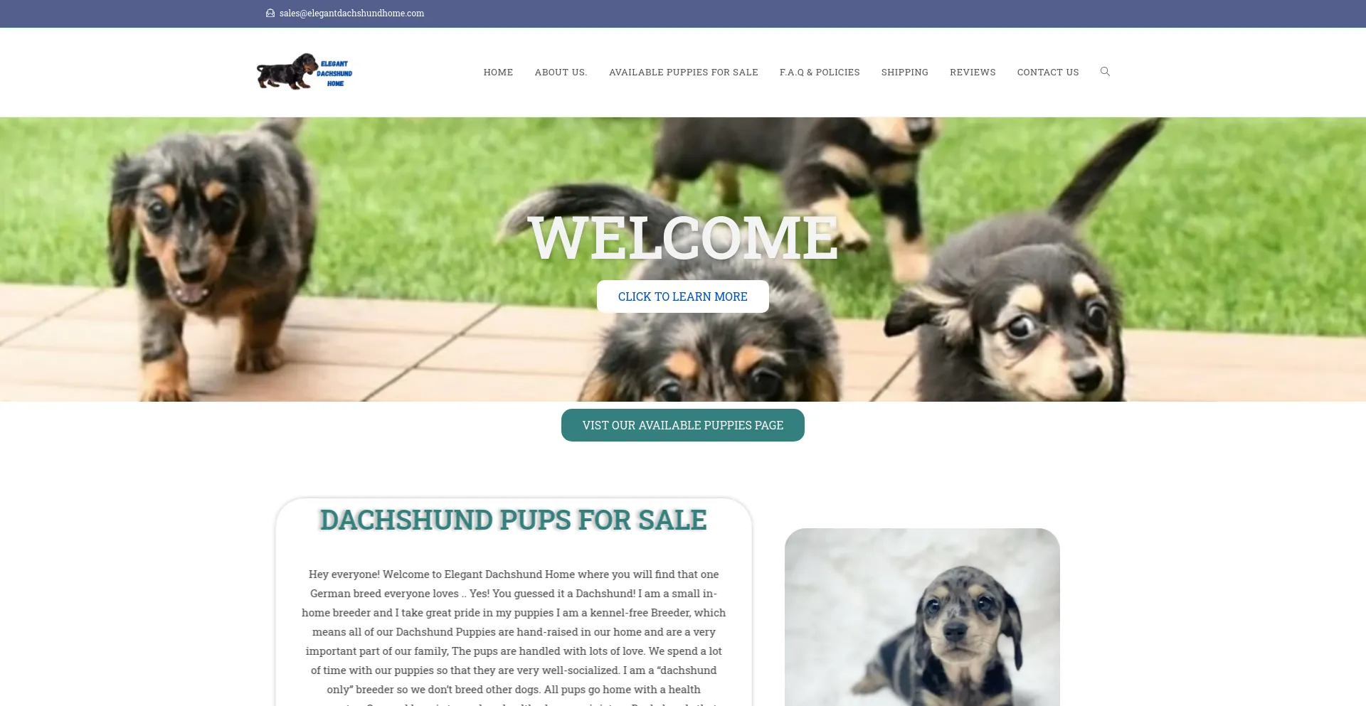 Screenshot of elegantdachshundhome.com homepage