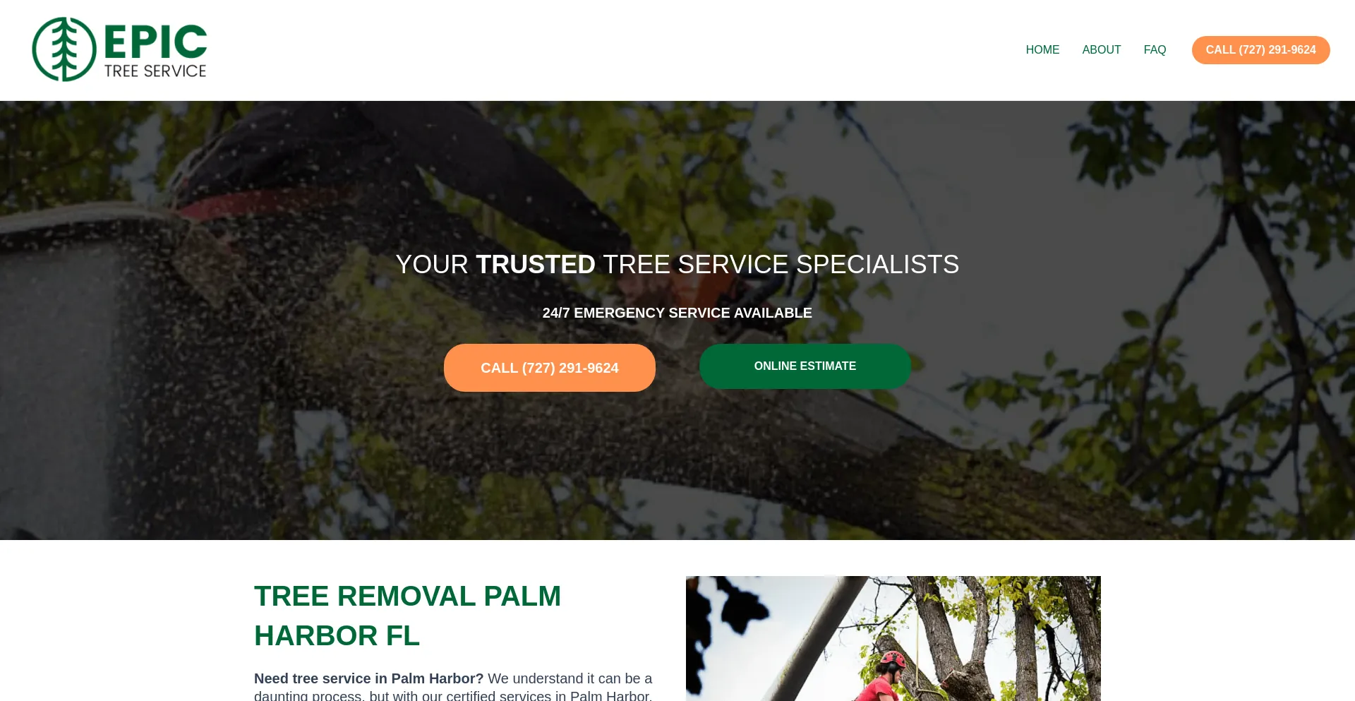 Screenshot of epictreeremoval.com homepage