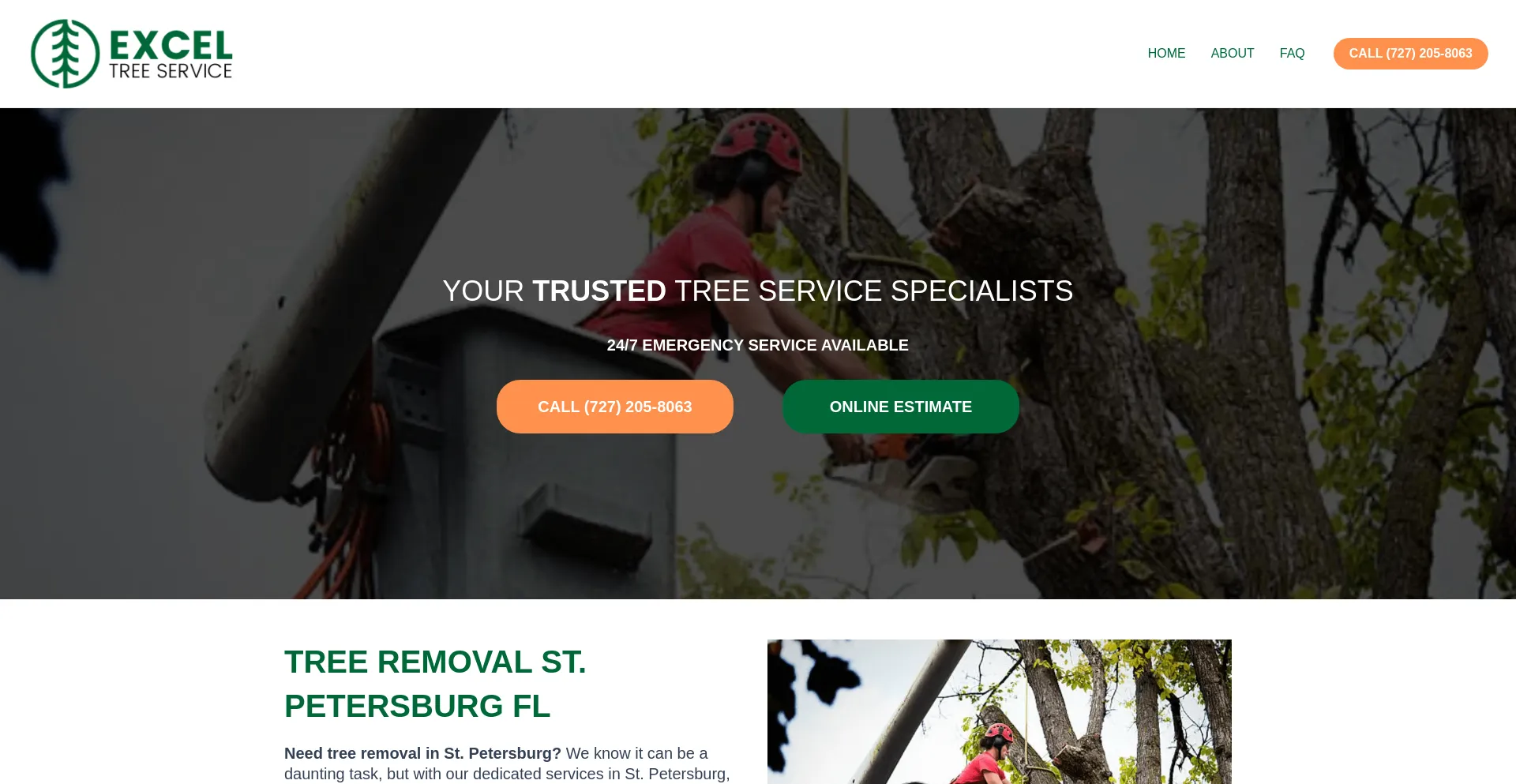 Screenshot of exceltreeremoval.com homepage