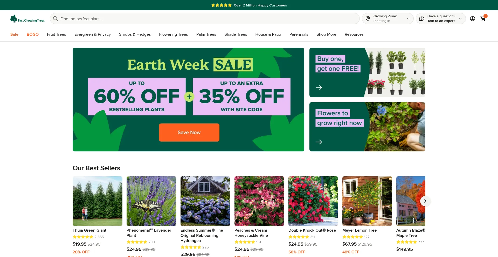 Screenshot of fast-growing-trees.com homepage