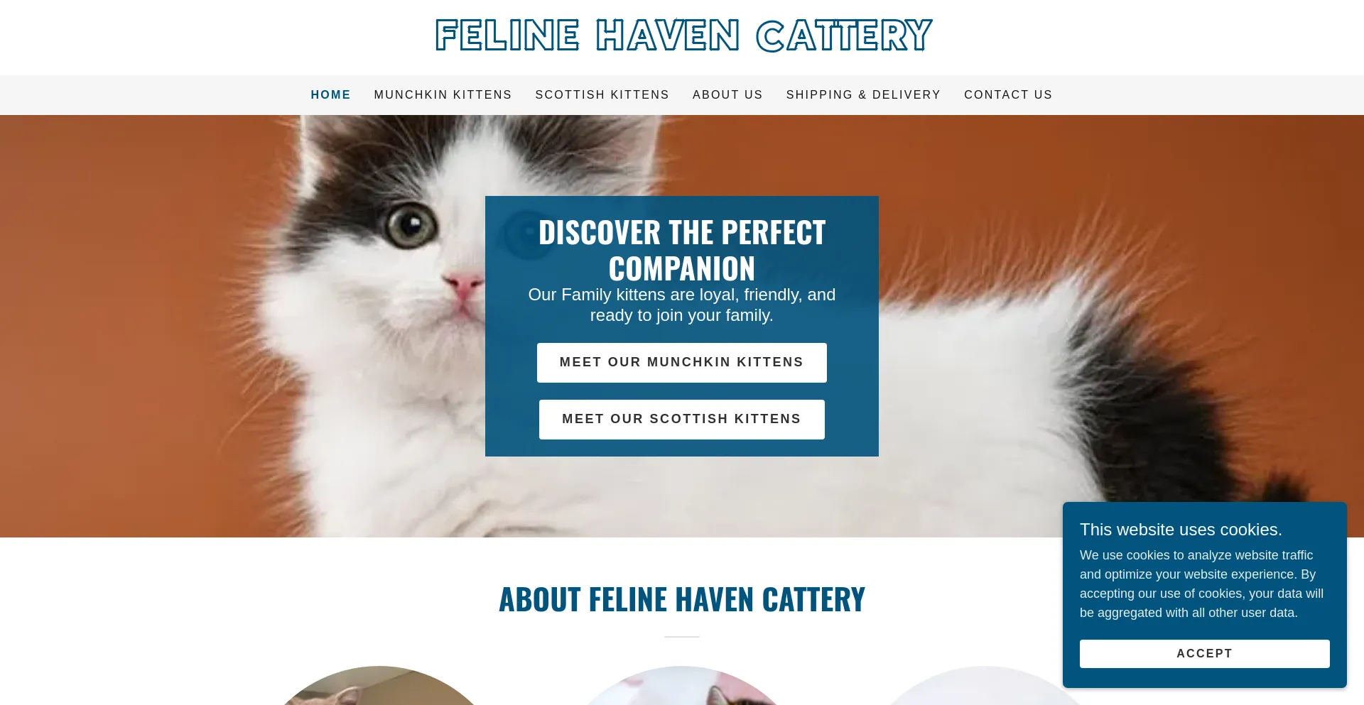 Screenshot of felinehavencattery.com homepage