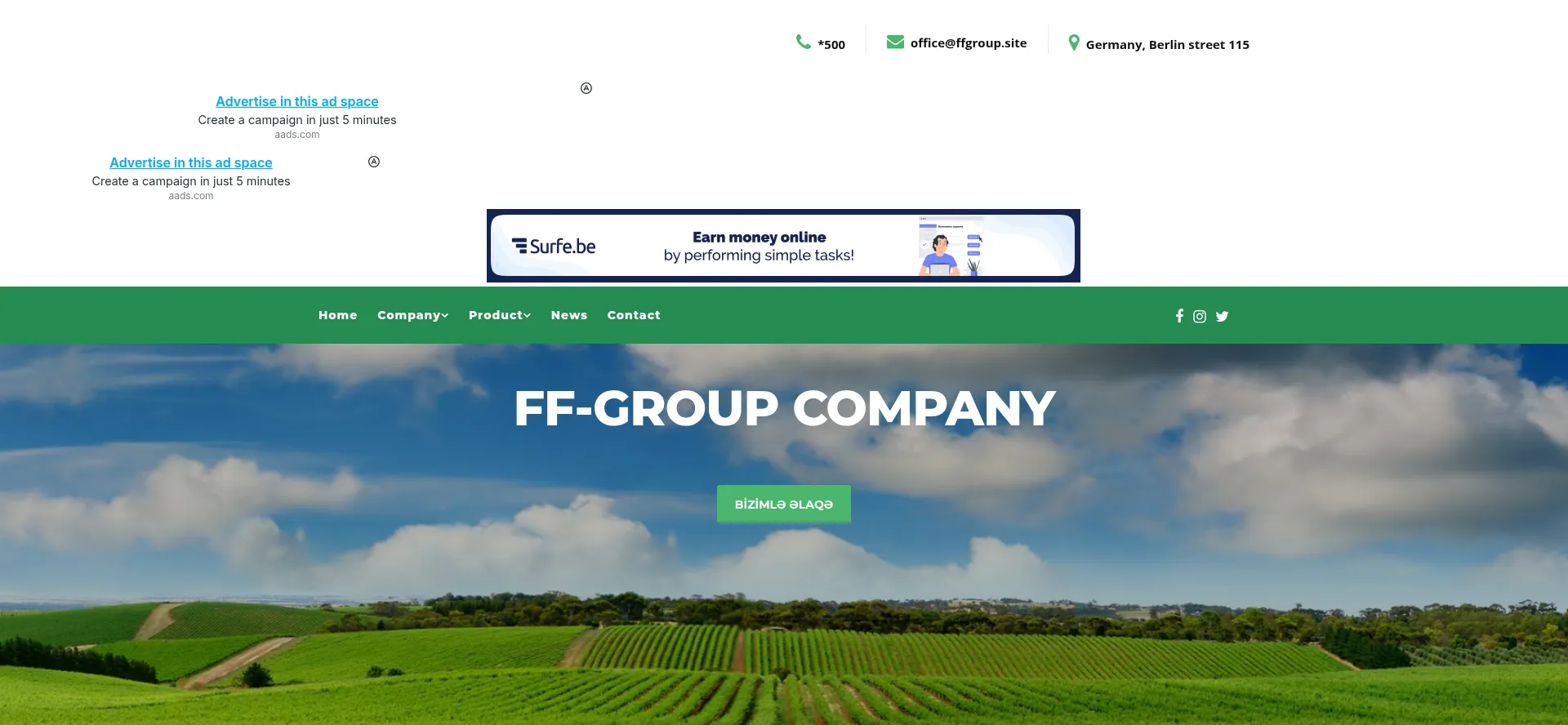 ffgroup.site