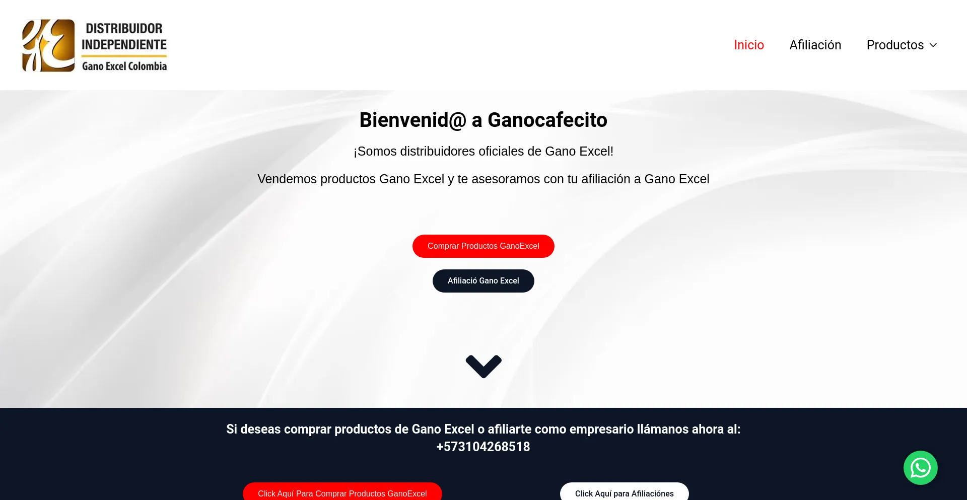 Screenshot of ganocafecito.online homepage