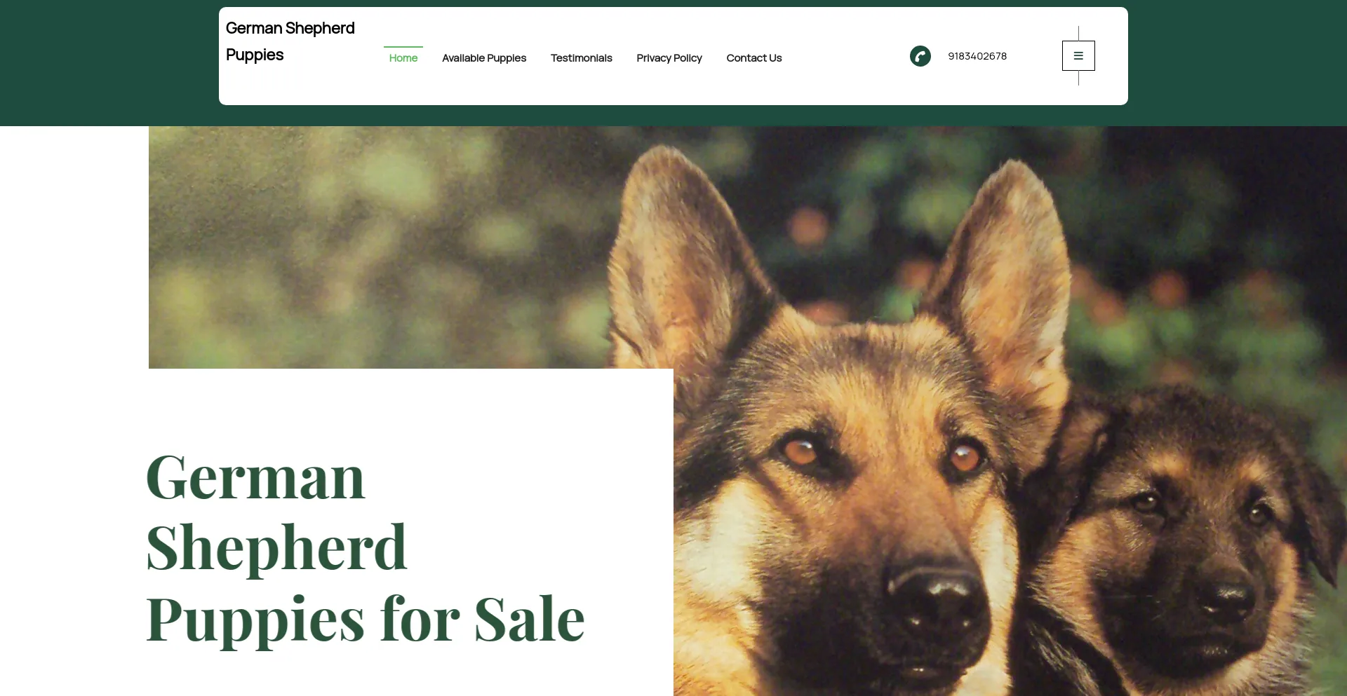 Screenshot of germanpupsforsale.com homepage