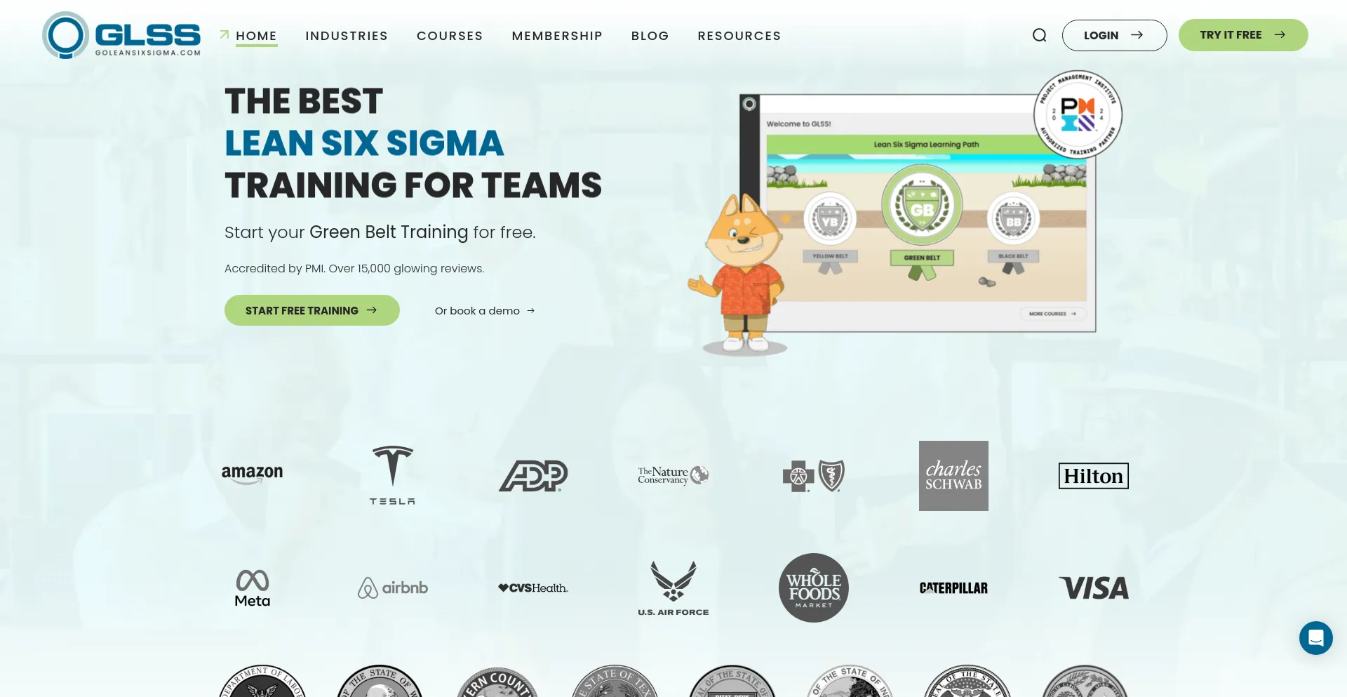 goleansixsigma.com