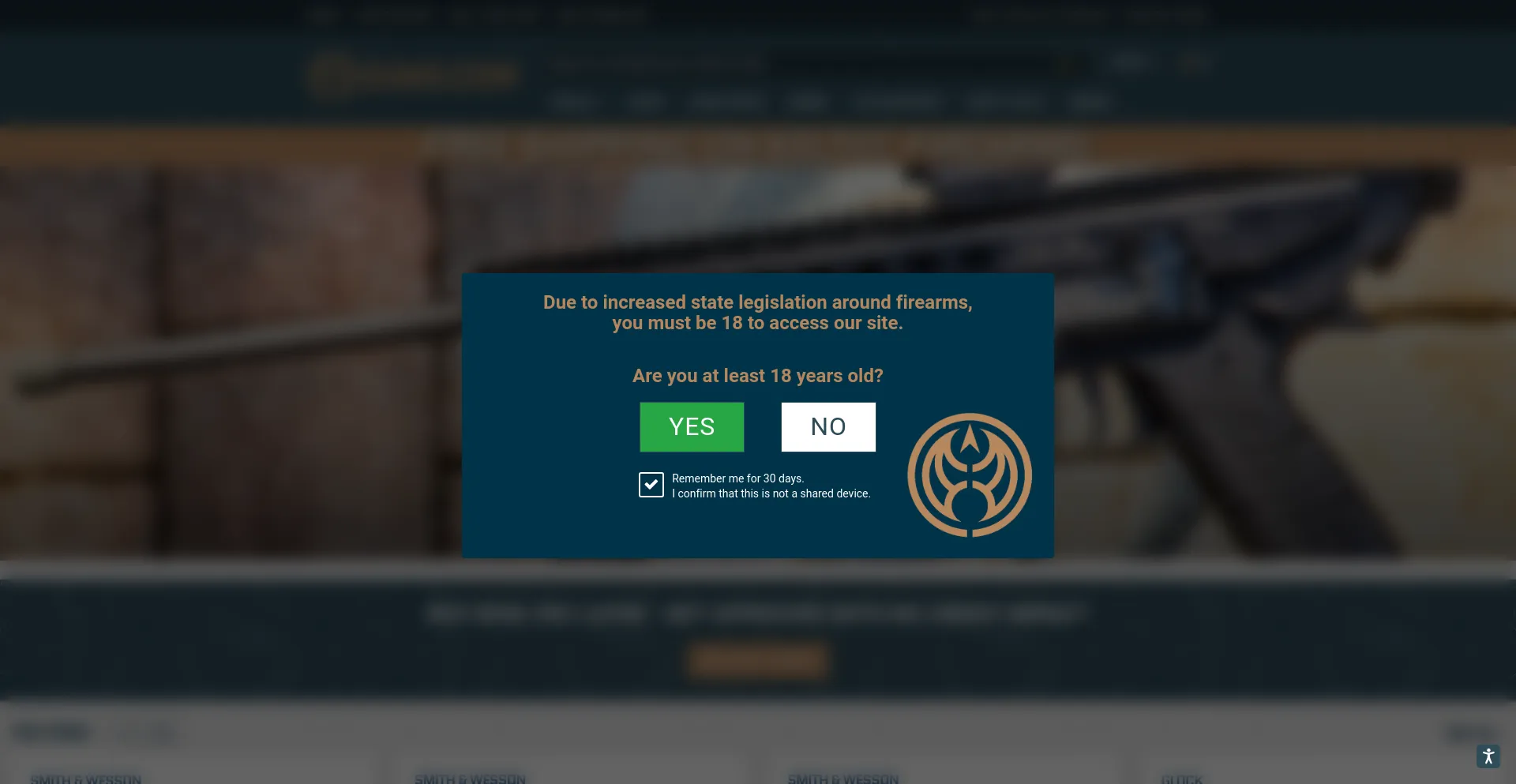 Screenshot of guns.com homepage