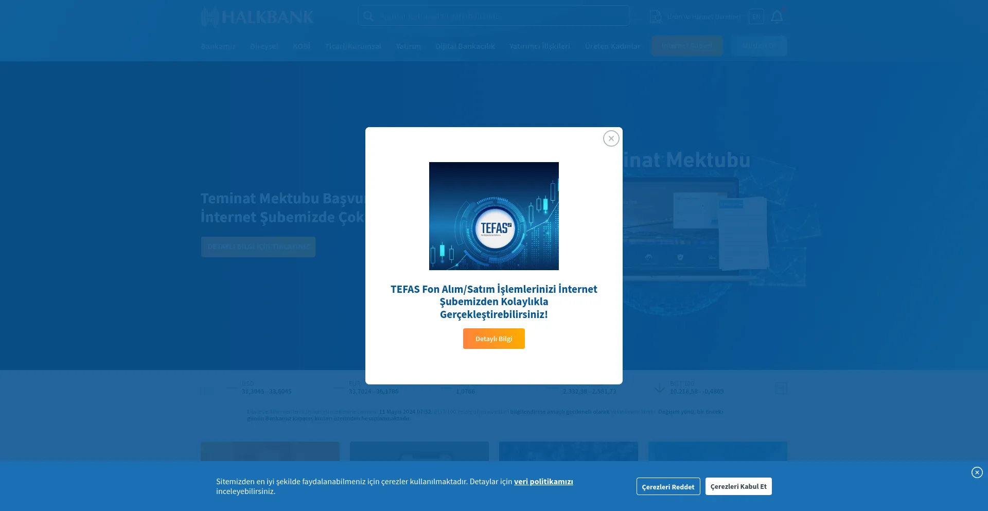 Screenshot of halkbank.com.tr homepage