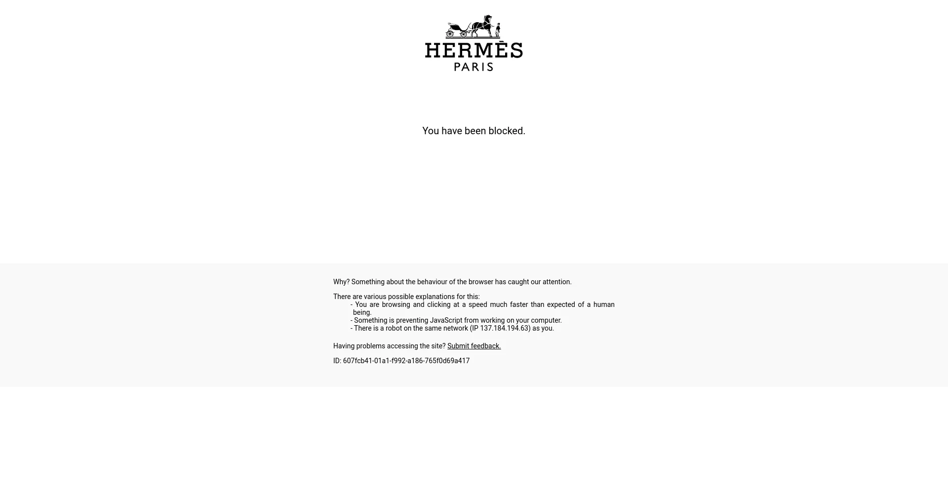 Screenshot of hermes.com homepage