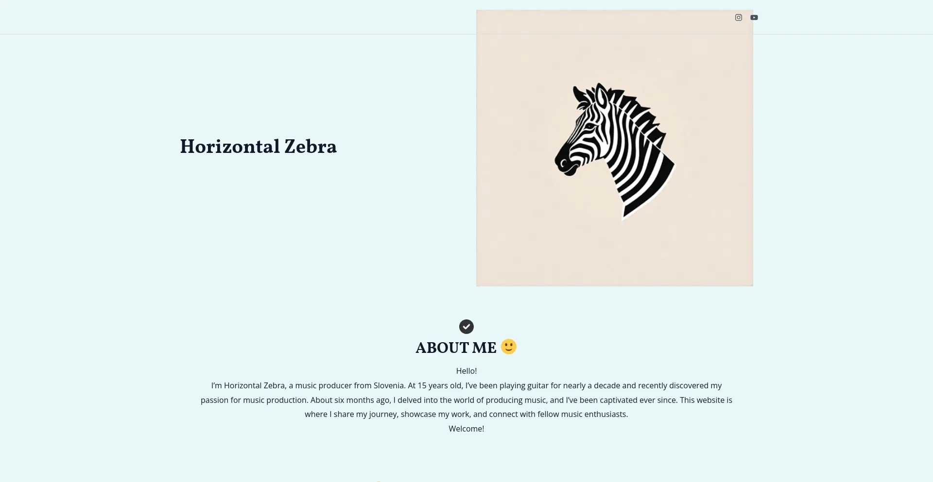 Screenshot of horizontalzebra.com homepage