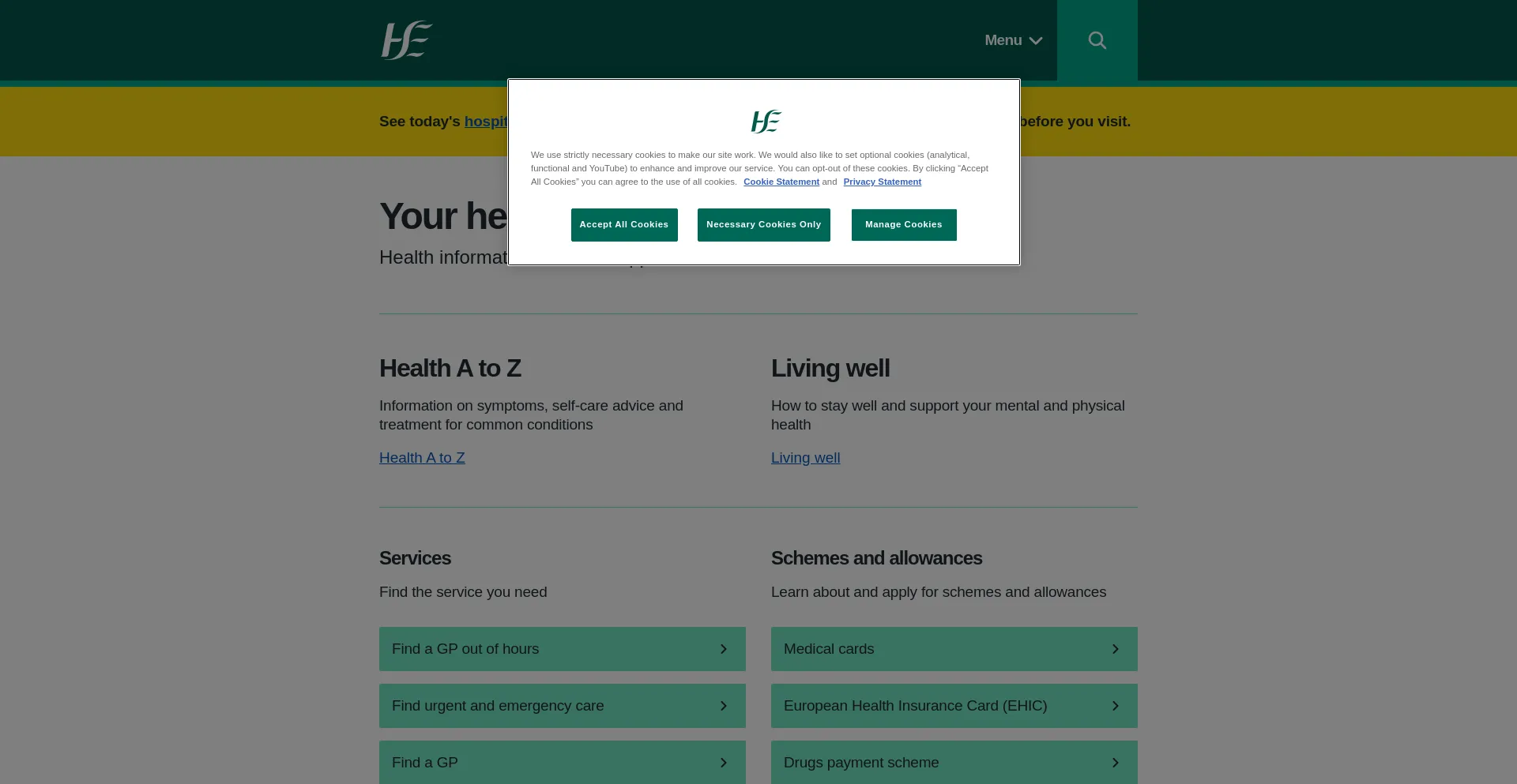 Screenshot of hse.ie homepage