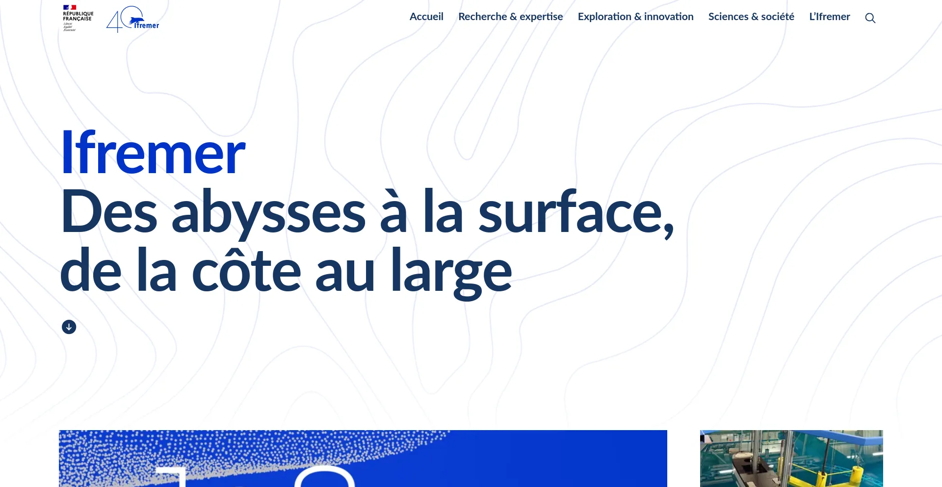 Screenshot of ifremer.fr homepage