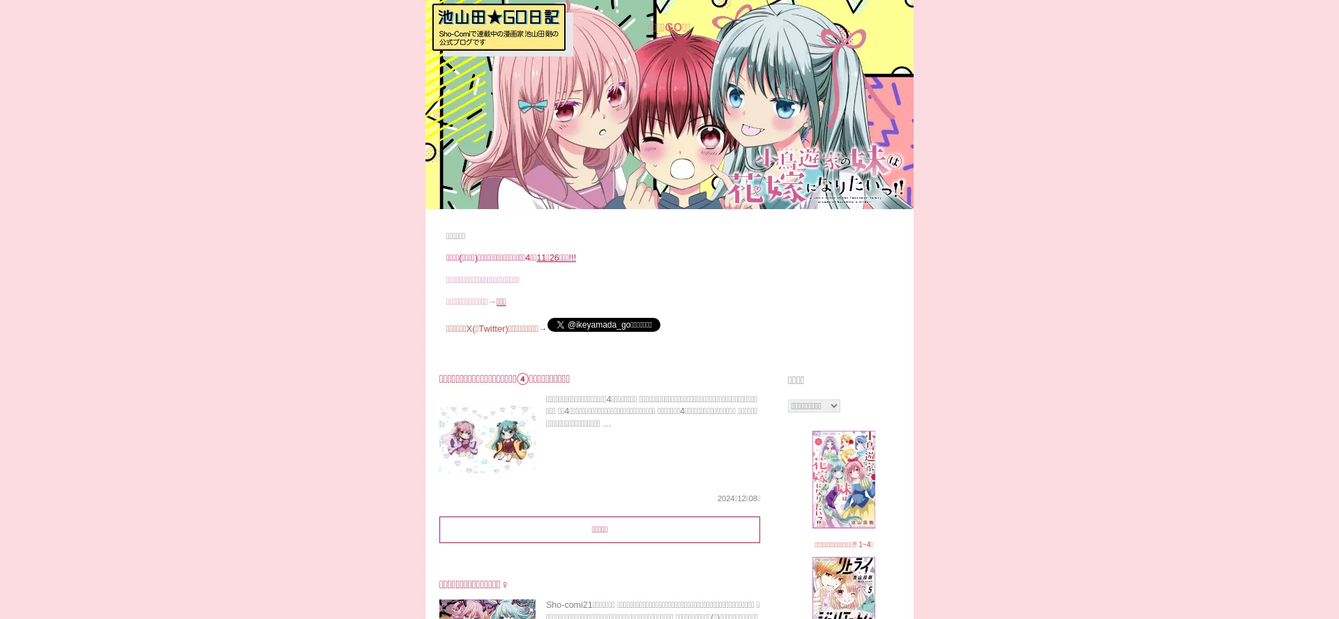 Screenshot of ikeyamada-go.seesaa.net homepage