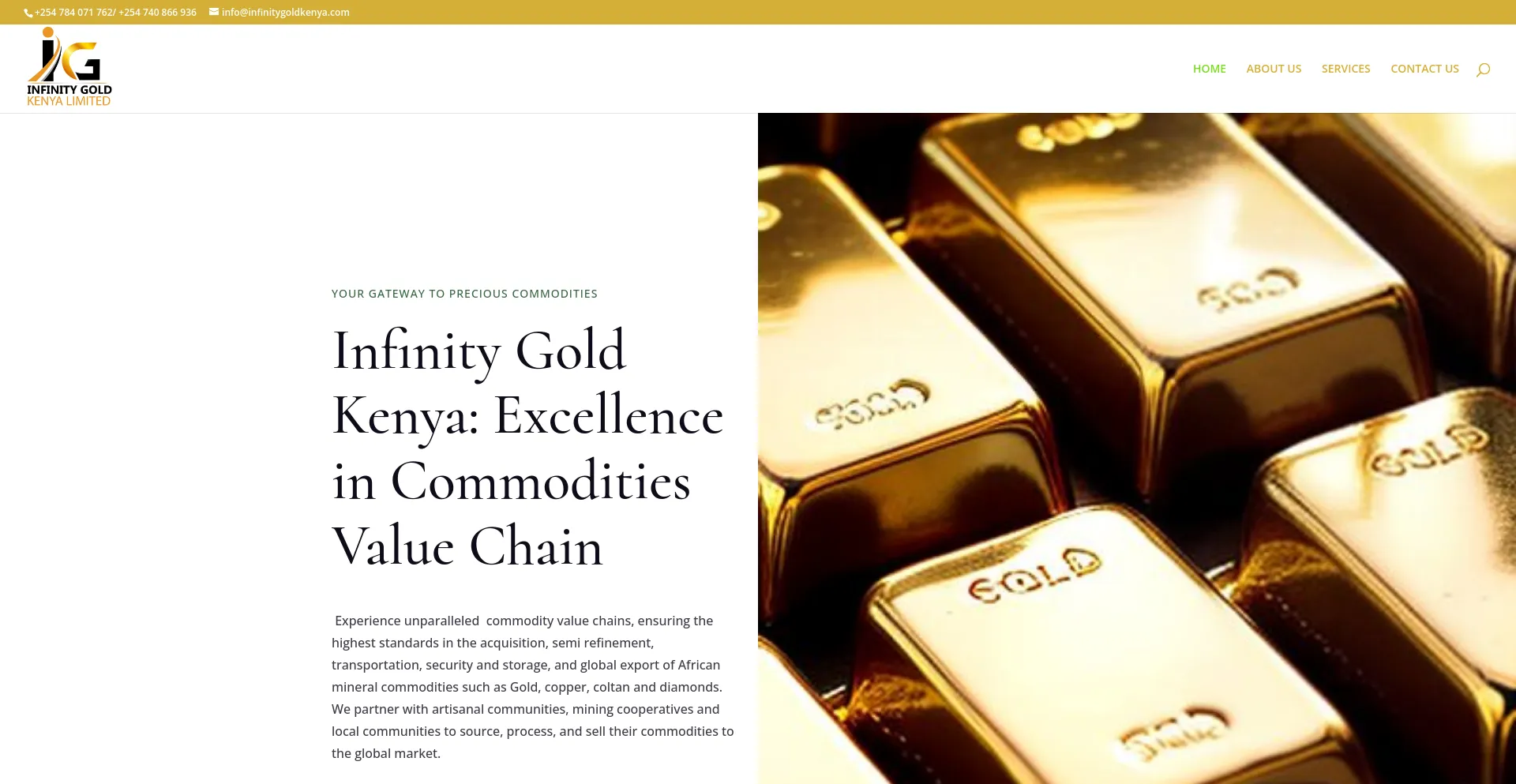 Screenshot of infinitygoldkenya.com homepage