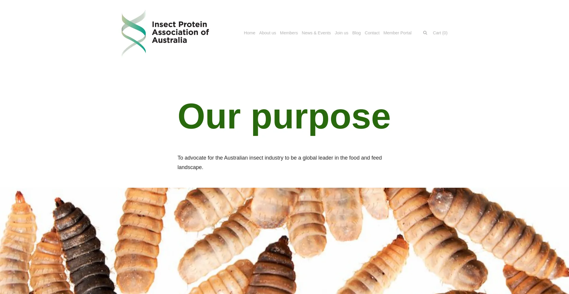 Screenshot of insectproteinassoc.com homepage