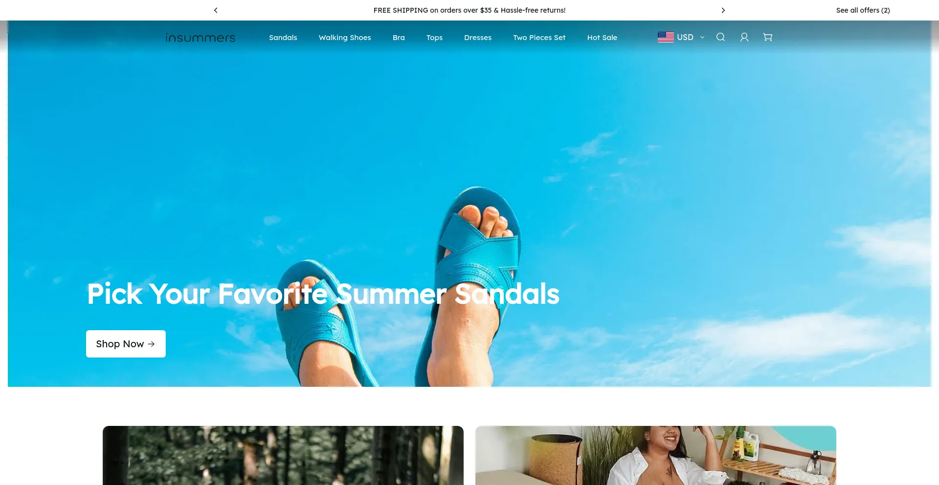 Screenshot of insummers.com homepage