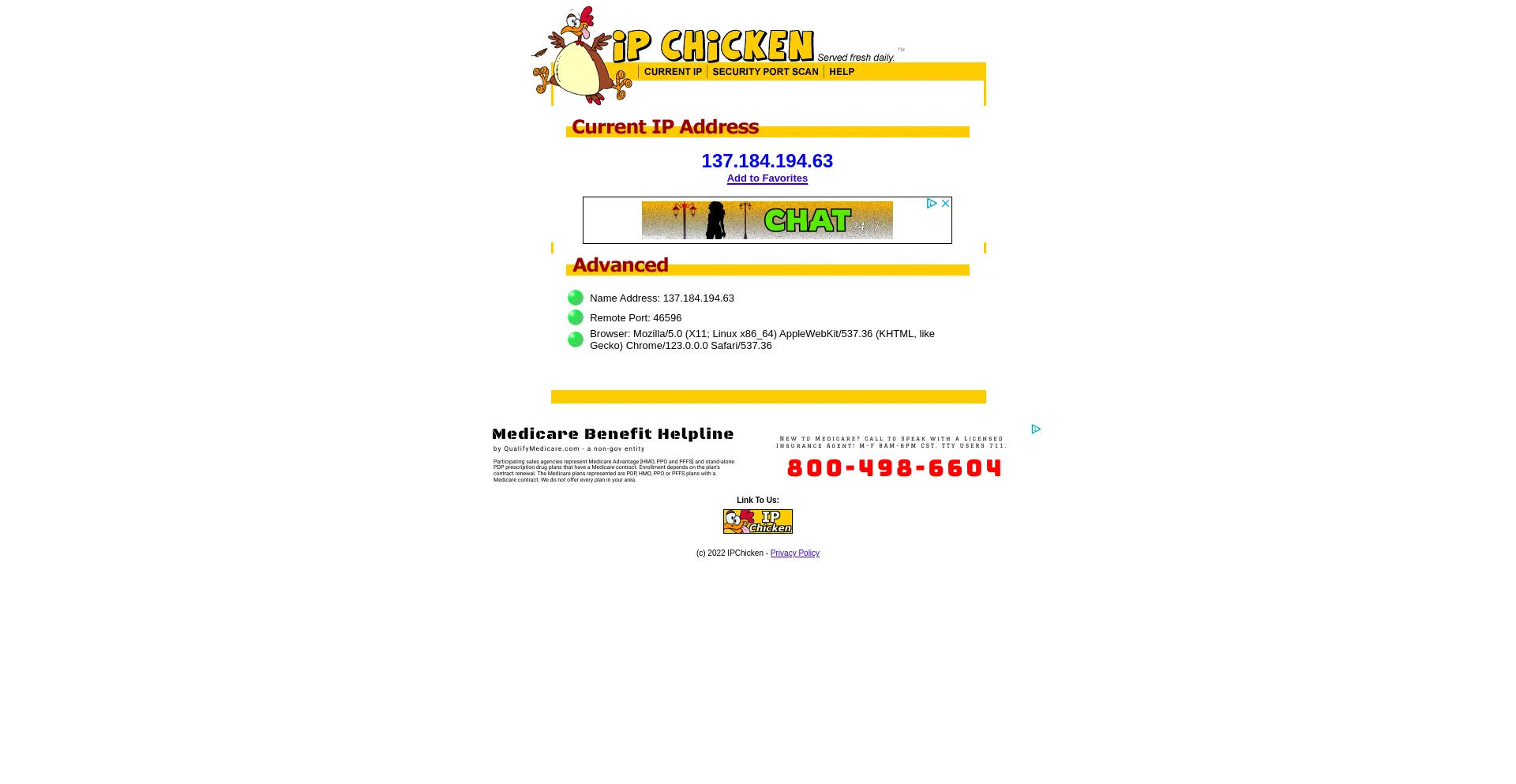 Screenshot of ipchicken.com homepage